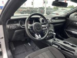 2019 Mustang Thumbnail 12