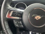 2019 Mustang Thumbnail 18