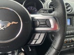 2019 Mustang Thumbnail 19