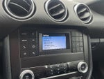2019 Mustang Thumbnail 23