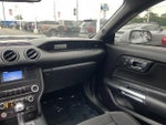 2019 Mustang Thumbnail 28