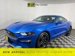 2019 Mustang Thumbnail 1