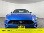 2019 Mustang Thumbnail 2