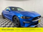 2019 Mustang Thumbnail 3