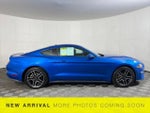 2019 Mustang Thumbnail 5