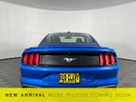 2019 Mustang Thumbnail 7