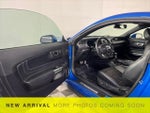 2019 Mustang Thumbnail 10