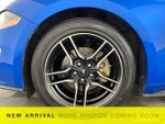 2019 Mustang Thumbnail 17