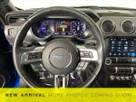 2019 Mustang Thumbnail 18