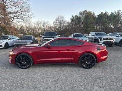 2019 Ford Mustang Ecoboost 2DR Fastback