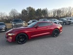 2019 Mustang Thumbnail 2