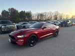 2019 Mustang Thumbnail 3
