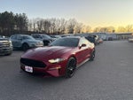 2019 Mustang Thumbnail 4