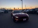 2019 Mustang Thumbnail 7