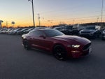 2019 Mustang Thumbnail 9