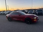 2019 Mustang Thumbnail 10