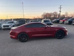 2019 Mustang Thumbnail 11