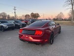 2019 Mustang Thumbnail 13