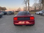 2019 Mustang Thumbnail 14