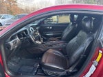 2019 Mustang Thumbnail 15