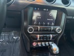 2019 Mustang Thumbnail 17