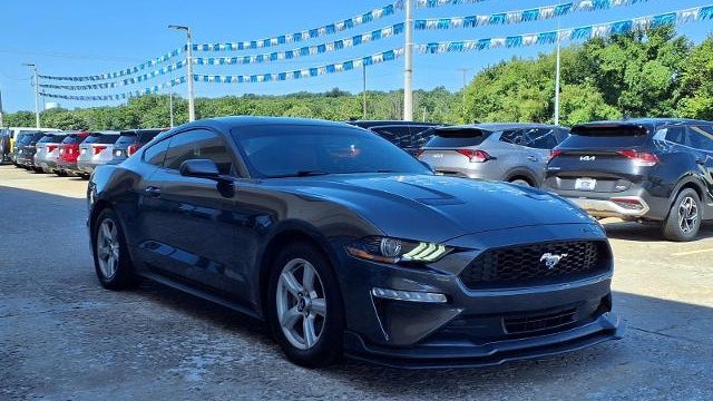 Preowned 2019 Ford Mustang EcoBoost for Sale