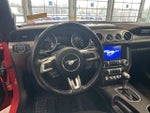2019 Mustang Thumbnail 2
