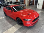 2019 Mustang Thumbnail 5
