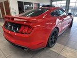 2019 Mustang Thumbnail 7