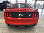 2019 Mustang Thumbnail 8