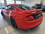 2019 Mustang Thumbnail 9