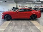 2019 Mustang Thumbnail 10