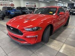 2019 Mustang Thumbnail 11