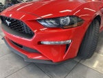 2019 Mustang Thumbnail 12