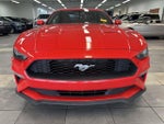 2019 Mustang Thumbnail 13