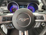 2021 Mustang Thumbnail 15