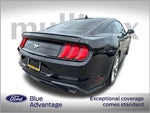2021 Mustang Thumbnail 1