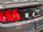 2021 Mustang Thumbnail 20