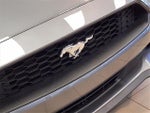 2021 Mustang Thumbnail 22