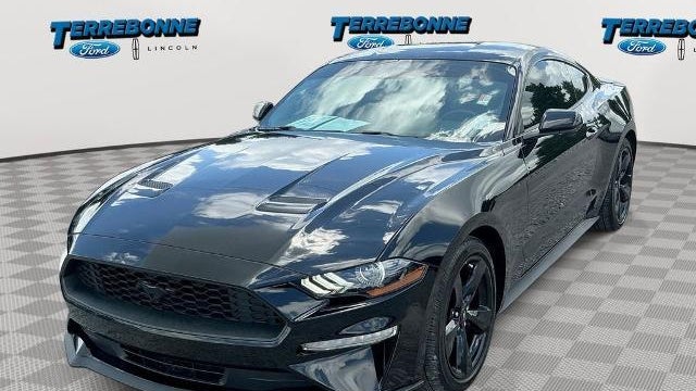 Preowned 2022 Ford Mustang EcoBoost for Sale