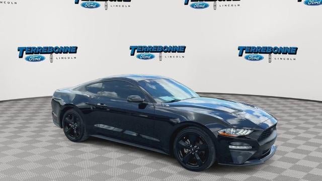 2022 Ford Mustang EcoBoost