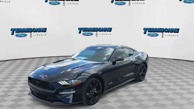 2022 Ford Mustang EcoBoost