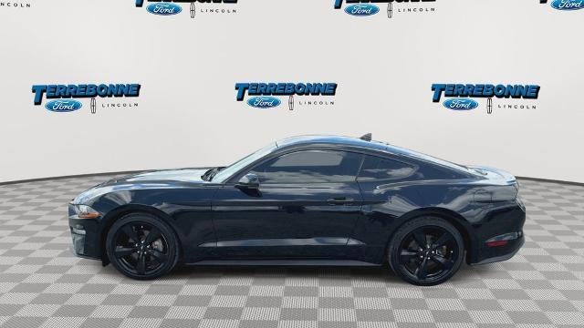 2022 Ford Mustang EcoBoost