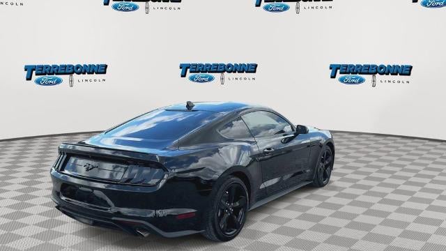 2022 Ford Mustang EcoBoost