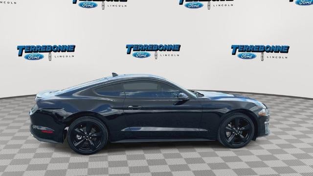 2022 Ford Mustang EcoBoost