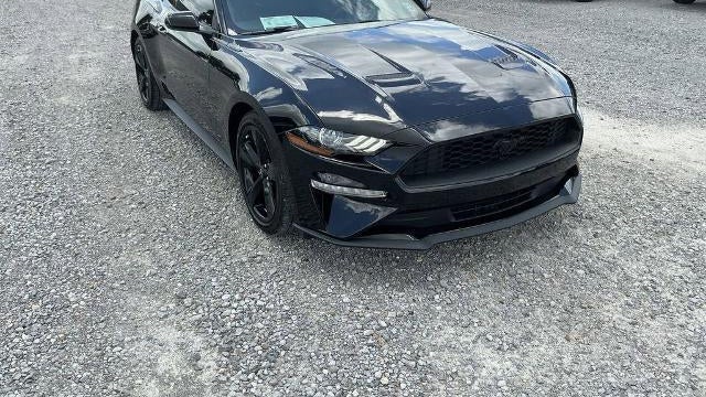 2022 Ford Mustang EcoBoost