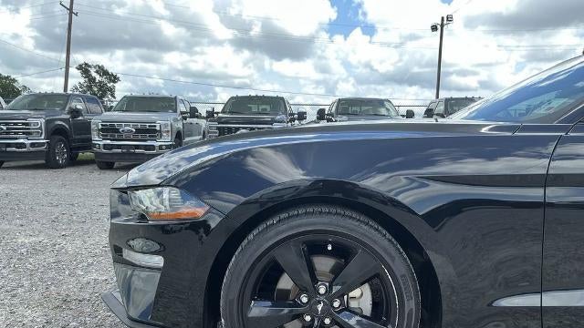 2022 Ford Mustang EcoBoost