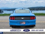 2022 Mustang Thumbnail 6