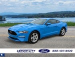 2022 Mustang Thumbnail 3