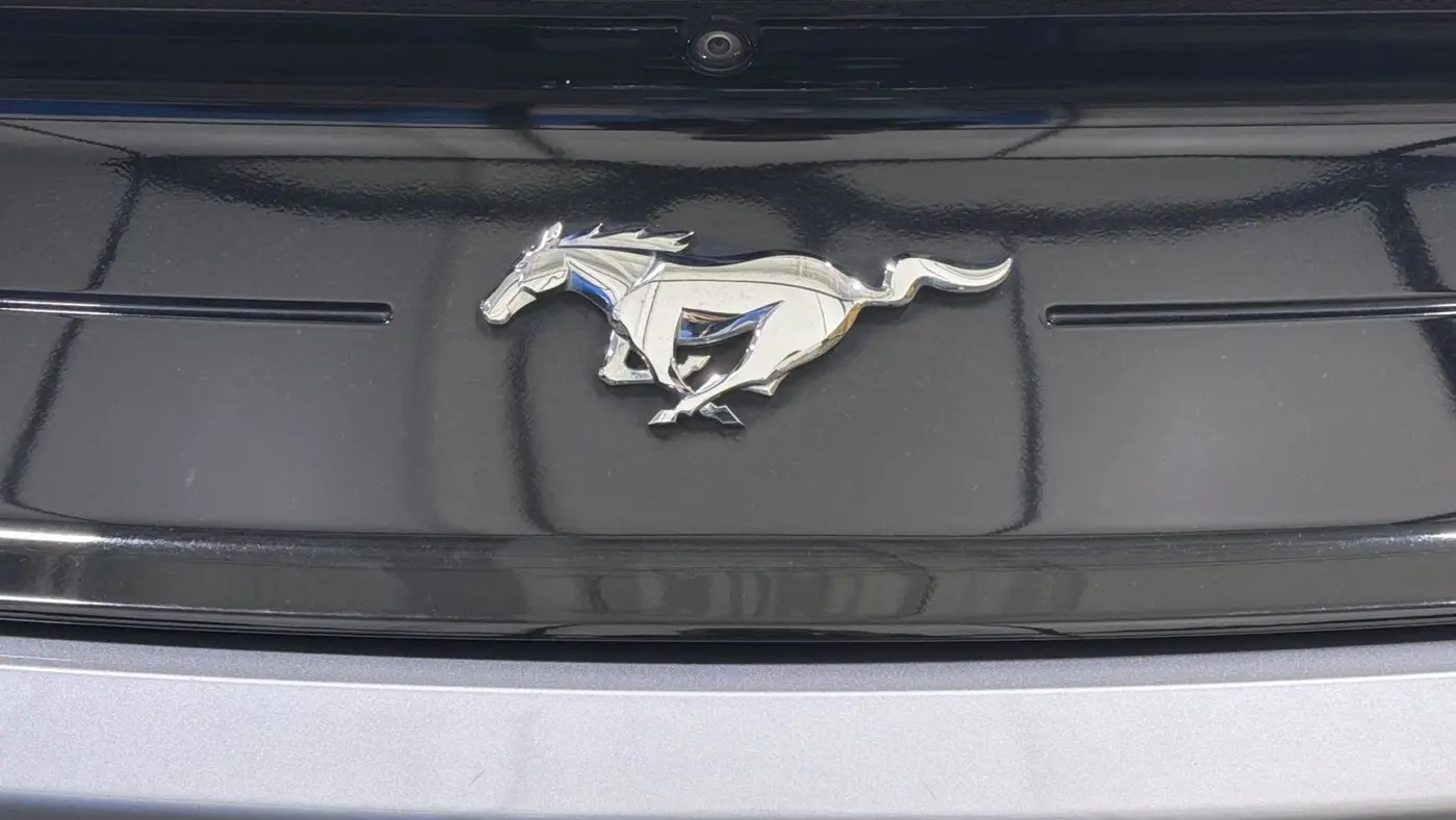 2022 Ford Mustang EcoBoost
